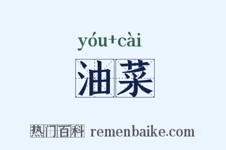 油菜是什么意思的图片